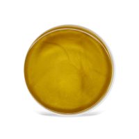 ACTIVE GOLD STRIP WAX - Image 2